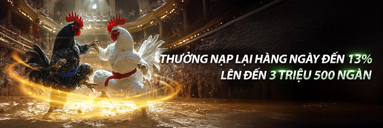 Đá Gà Trực Tuyến yo88 nhà cái