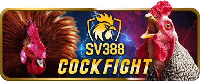 Bước 3: Tham gia các chương trình khuyến mãi yo88 nhà cái